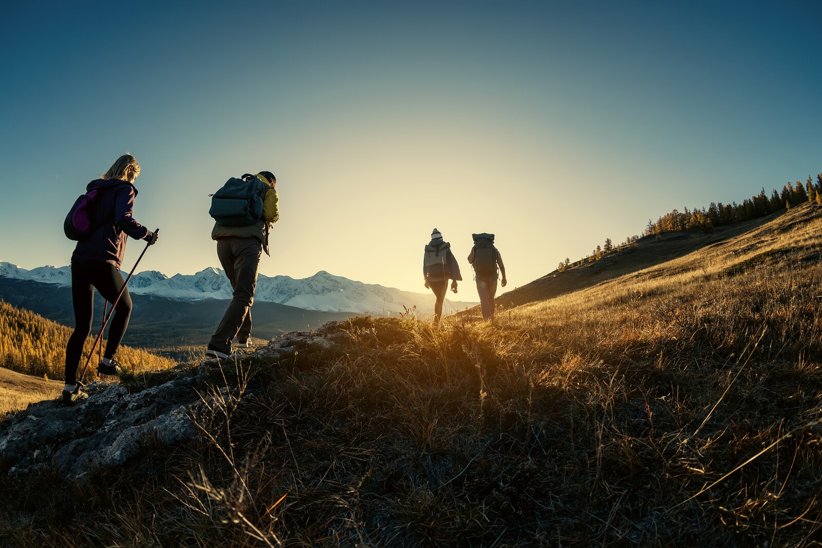 Four hikers with backpacks walking up a grassy ridge at sunset, snowy mountains in the distance